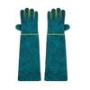 Professional Animal Handling Gloves