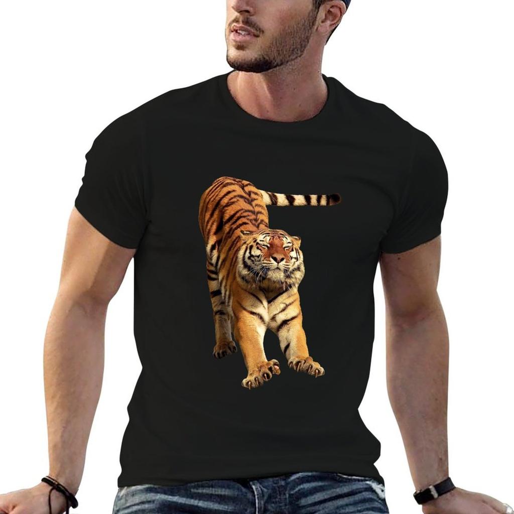 Sleepy Tiger T-Shirt Large Size Short Sleeve T-Shirt