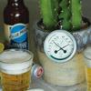 Dulton THERMO-HYGROMETER MEXICO K925-1283MX