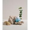 Skinboom Skinboom Knit Moisture Soothing Cream