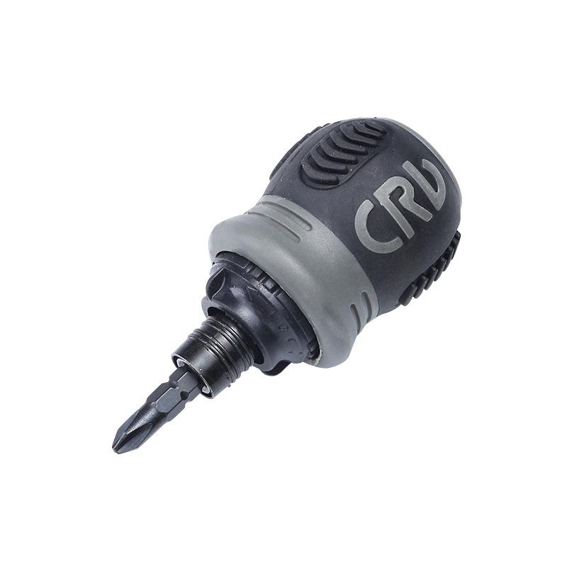 Dual-Head Ratcheting Telescopic Screwdriver with Phillips, Slotted, and Torx Heads