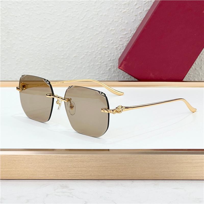 

Unisex Fashion Square Metal Sunglasses - Trendy Photochromic Eyewear for Holidays and Parties (Model: CT0731S) Standard
