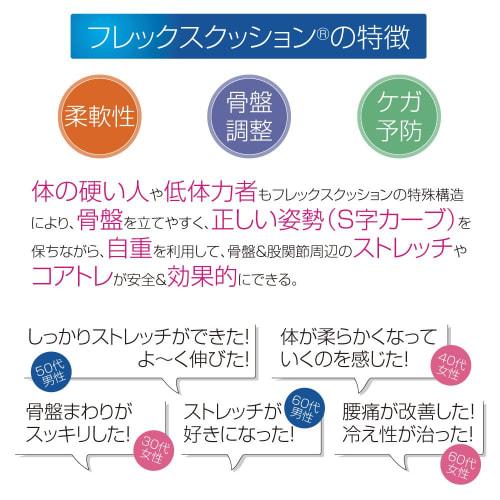 Sante Plus Flexkissen schwarz FC-A402K schwarz