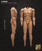 Toy Hobby [TOYBARJAPAN] 1/6 Scale Action Figure 23TOYS BD001/02/03/04/05/06 Male Action Body (Limbs Not Included) (23-BD004 23.5CM)