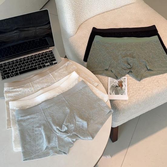 See Through Men Underwear Sexy Convex Boxers Transparent Soft Briefs