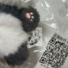 Used aespa stuffed winter panda