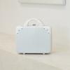 1Pc Cosmetic Case Women's Small Portable Suitcase Travel Storage Bag Small Suitcase Children