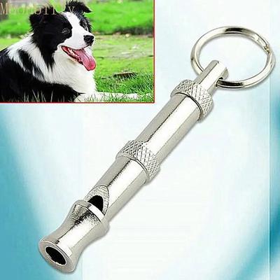 Köpek – Eğitim ve Öğretim Araçları
