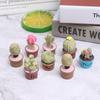 5Pcs Miniature Plant In Pot For Dollhouse Furniture Decoration Home
