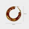 Low Saturation Minimalist Retro Round Hoop Earrings - Stainless Steel & Multi-color Resin