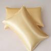1 Piece Silky Stain Pillowcase Silky Pillowcase Natural Silk Pillowcase Mulberry Silk Pillow Case Standard