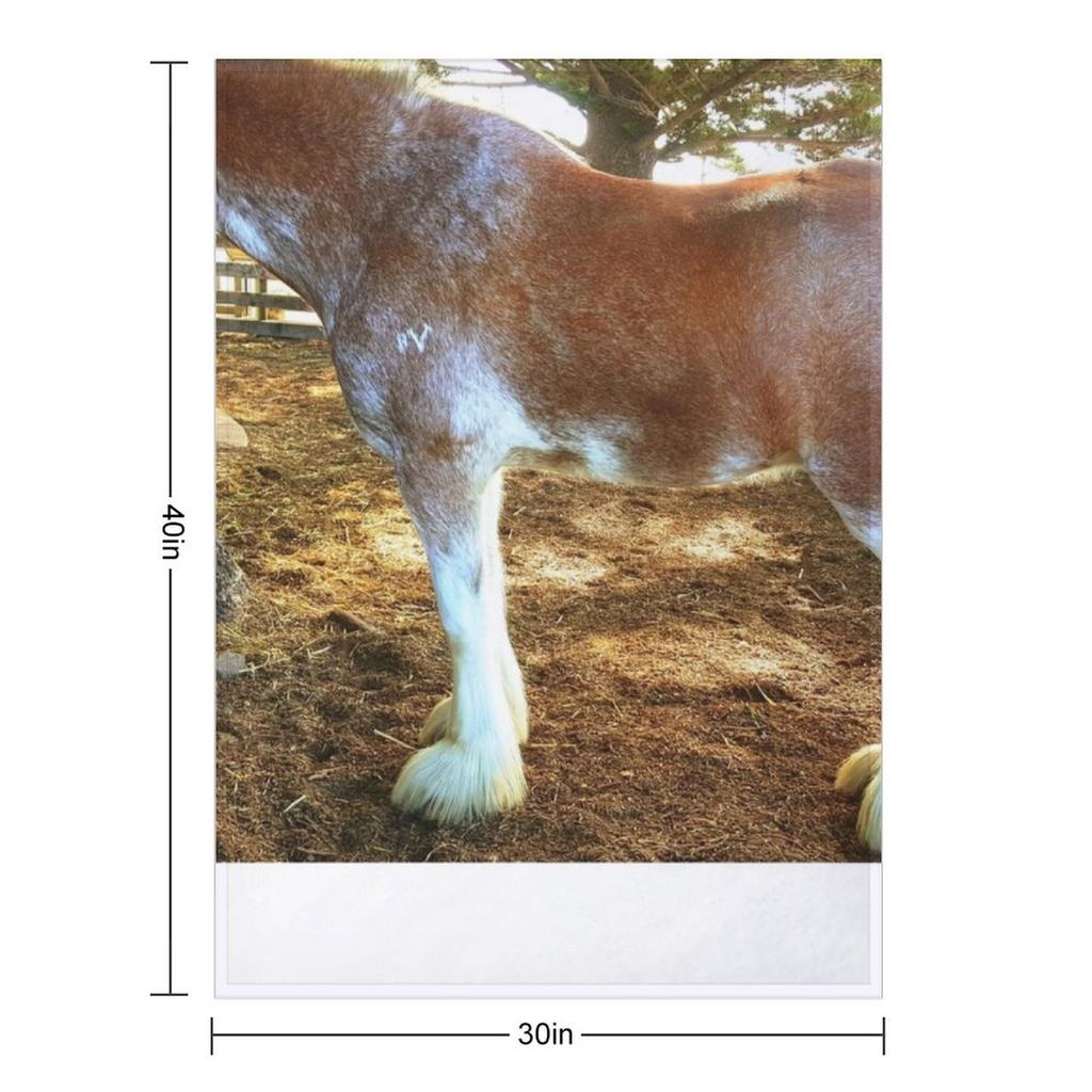 Brown Mottled Clydesdale Horse Throw Blanket Soft Plaid Travel Sofa Quilt Beach Blankets