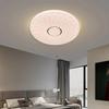 Liangtu Modern Minimalist Round Smart LED Ceiling Light