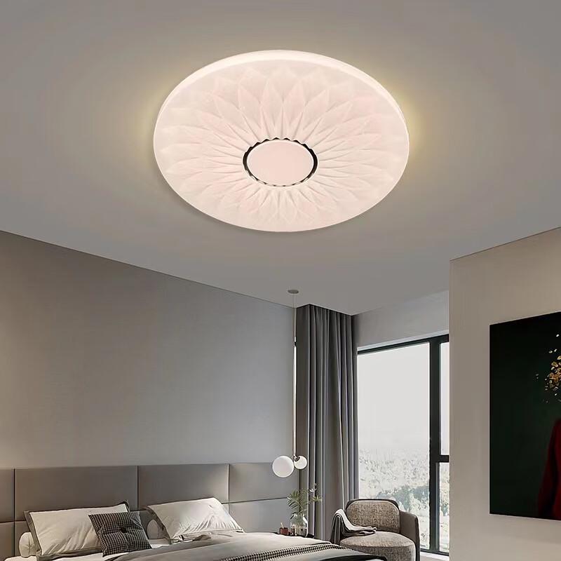 Liangtu Modern Minimalist Round Smart LED Ceiling Light
