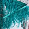 Struisvogelveer Franje - Diverse Kleuren, 10-15cm, 1 Meter voor Kledingaccessoires
