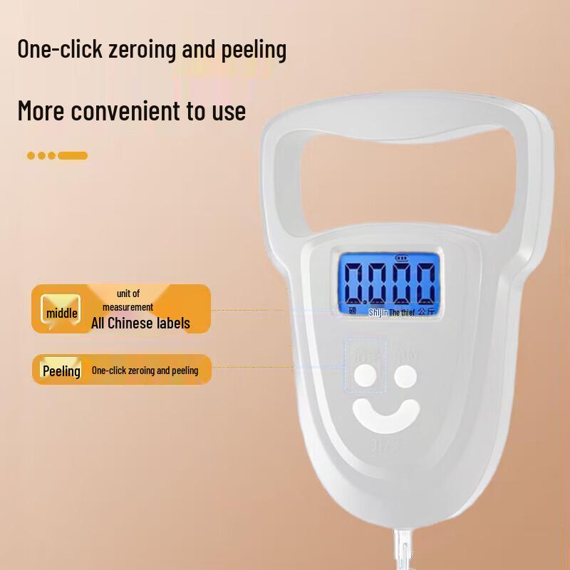 Portable Digital Hanging Scale