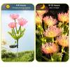 Solar Powered Spider Lily Flower Stake Lights Waterproof Outdoor Garden Decor Lamp for Yard Patio Camping Wedding Decoration