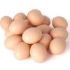 Party Supplies Breeding Poultry Painting Fake Eggs Artificial Eggs Easter  Egg Educational Toy