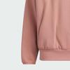ST FL HOODY Sweatshirt Men's Warm Earth Umber JN0117
