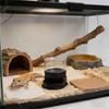 Transparent Reptiles Water Feeder With Automatic Water Refilling Space Efficient Design Technology