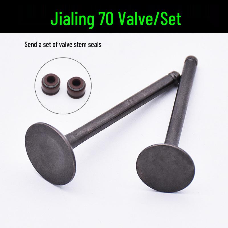 

Valve Stem Seals for Jetta 100/110/JH70 and Dayang DY90 Motorcycle Intake/Exhaust
