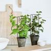 Durable Climbing Vine Frame Reusable Plant Stand Bonsai Tool Flowerpot Bracket  Flower Screen