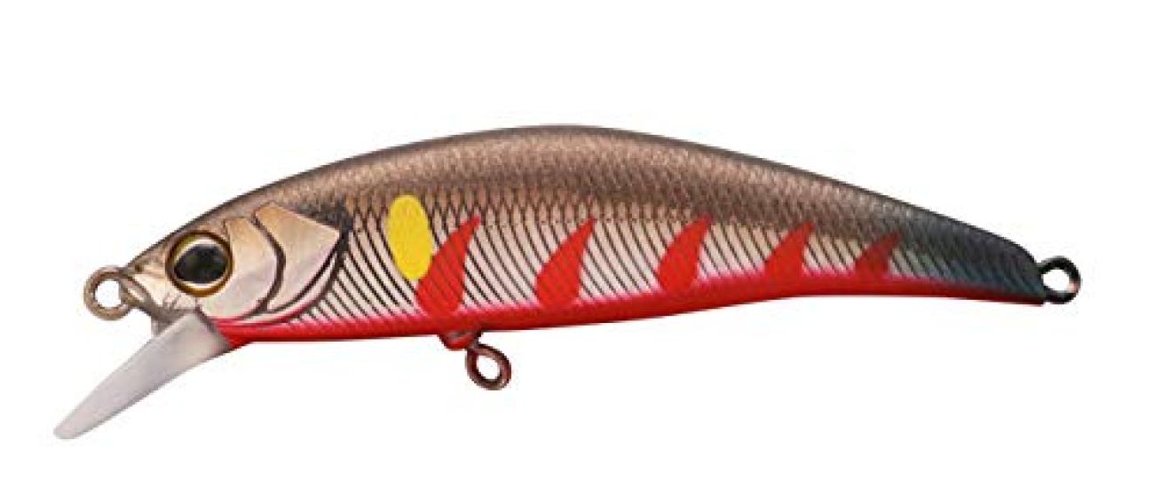 JACKALL Lure TIMON Tricolor GT Gujo Ayu Rekka 56SR-F