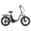 FAFREES F20 Pro Electric Bicycle 250W Motor, 36V 18Ah Battery, 20*3.0 Inch Tire, IP54 Waterproof, 80-100KM Range E-bike
