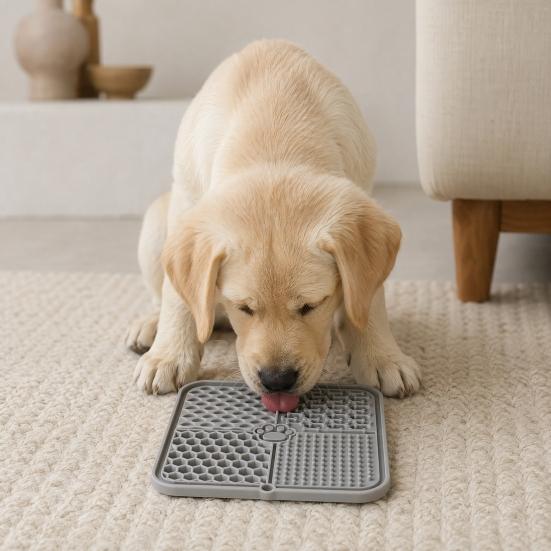 Dog Lick Mat, Pet Slow Feeder Mat with Suction Cups, Four Textured Zones, Silicone Pet Lick Mat for Dogs And Cats, Prevent Choking