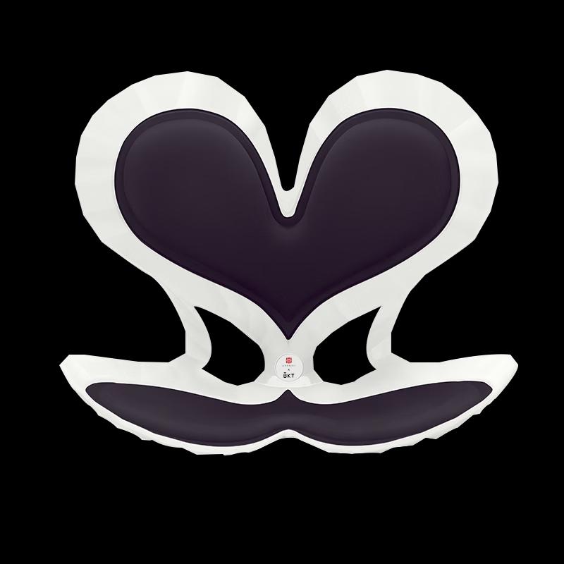 BKT Ergonomic Lumbar Support Chair Cushion