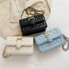 Fashionable Urban Chic Diamond Quilted Chain Shoulder Bag Stylish Small Pu Crossbody