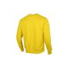 Nike Sportswear Club Fleece Crewneck BV2667-735