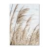 Nordic Posters Reed Dandelion Dolphin Sea Beach Flower Wall Art Canvas Painting And Prints Wall Pictures For Living Room Decor