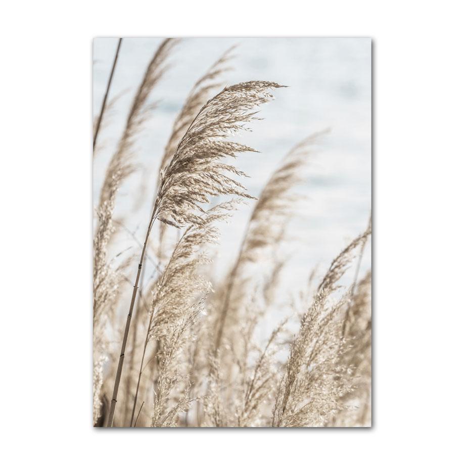 Nordic Posters Reed Dandelion Dolphin Sea Beach Flower Wall Art Canvas Painting And Prints Wall Pictures For Living Room Decor