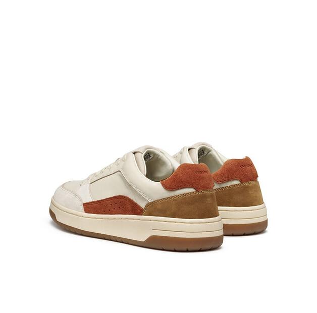 Geox U Sedral Court Sneakers