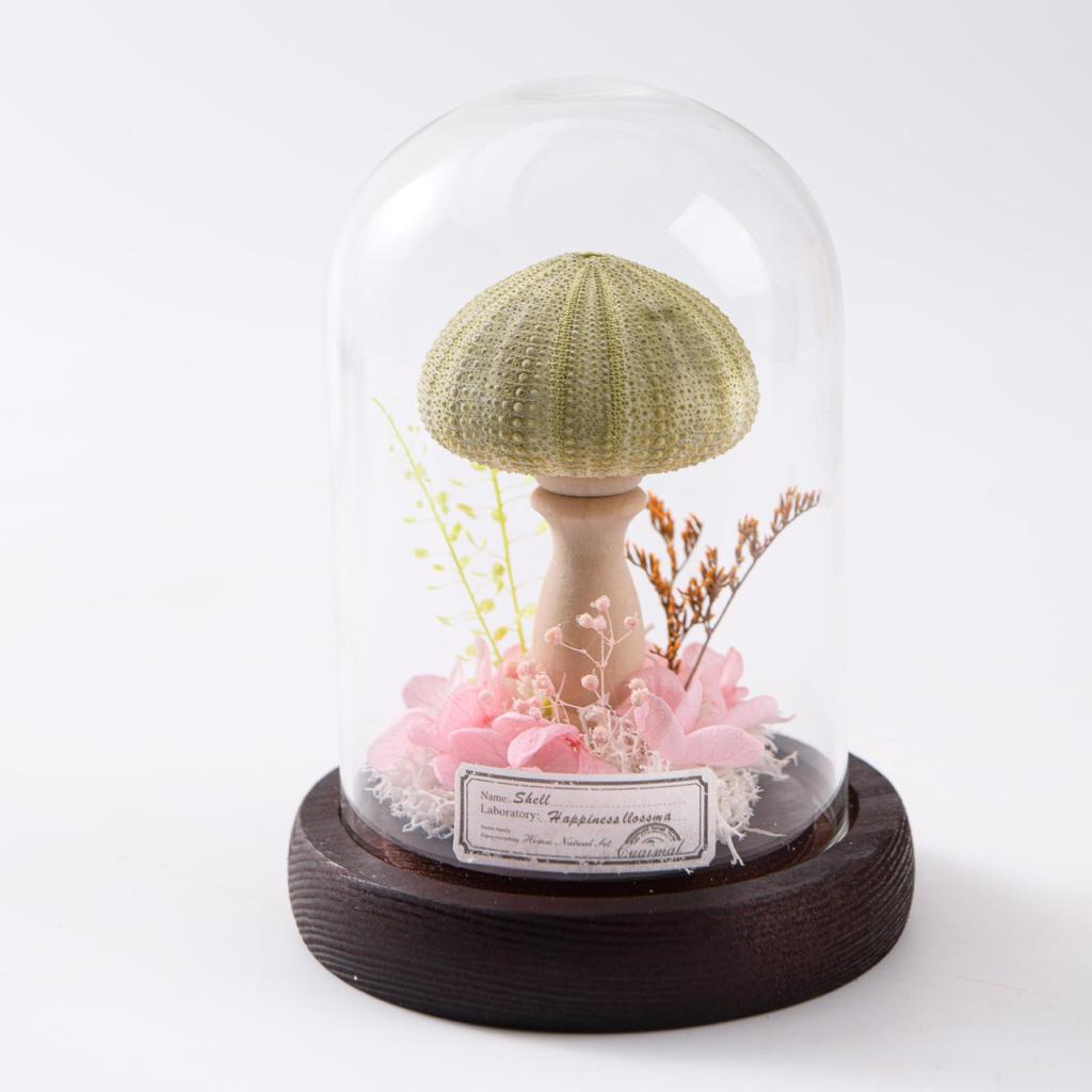 Eternal Flower Dried Flower Glass Cover Cylindrical Small Sea Urchin Night Light Gift Ornament Holiday Gift for Children and Friends