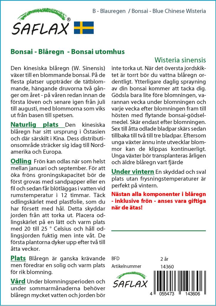 SAFLAX Garden In the Bag - Bonsai - Blue Chinese Wisteria - 4 Seeds - With Substrate In a Fitting Stand Up Bag - Wisteria Sinensis