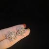 Luxury 925 Silver Needle Temperament Flower Earrings for Women Fashion Exquisite Earrings Socialite Personality Stud Earrings