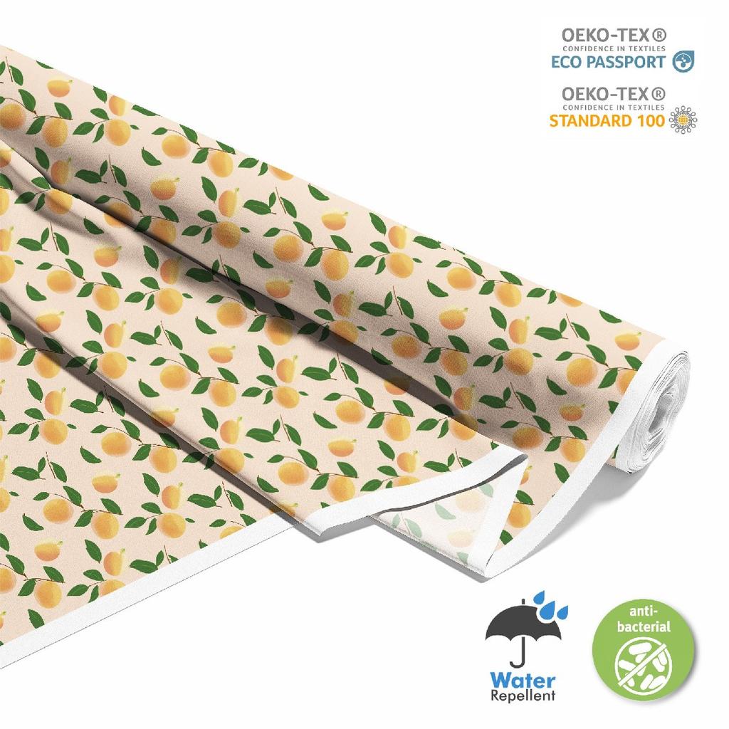 Outdoor Dekostoffe Oxford - Motiv Obst | Dx6481