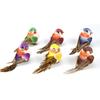 6PCS Mixed Color Artificial Birds DIY Accessories Faux Foam Animal  Garden Ornament