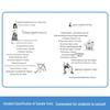 Little Bear Elementary School Essay Writing Full Set (4 Books)