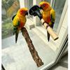 Bird Station Bar Pet Parrot Suction Cup Station Bar Bird Supplies Bathing Wall Training Bird Cage Station Rack