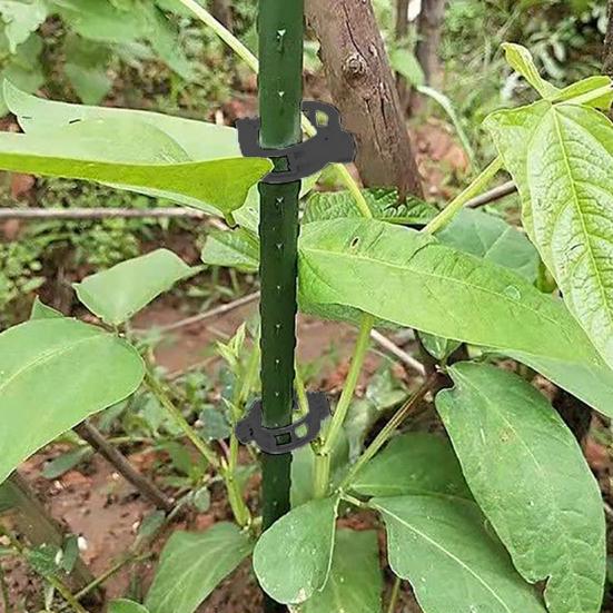 Plant Fixing Clip Reusable Tomato Vine Clips Garden Plant Support Clips for Tomato Grape Vine Vegetables Vertical