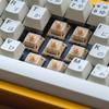 Saint Panda Custom 5-Pin Hot-swappable Keyboard Switch Tactile Mechanical Switch for Keyboard Modding Enthusiasts