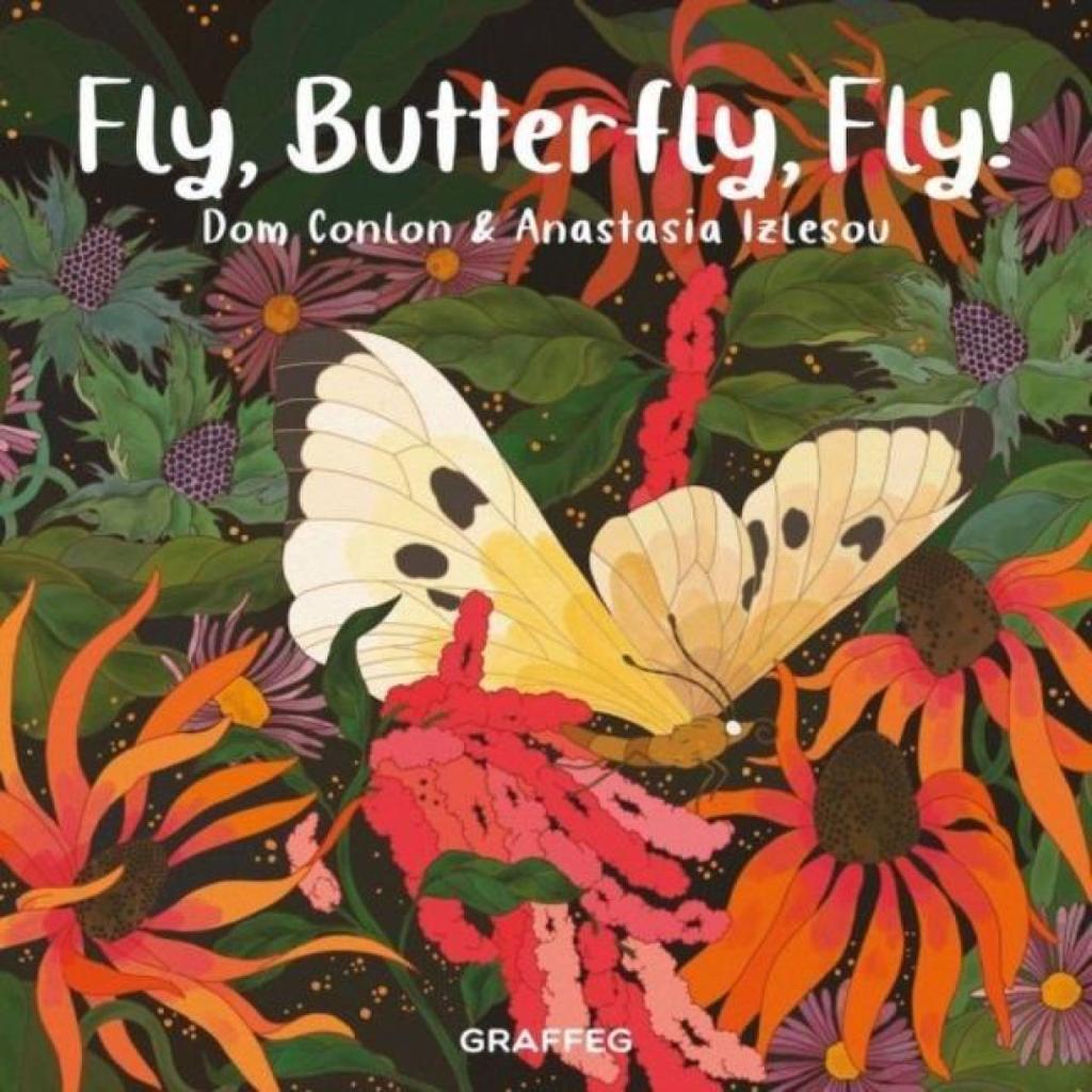 Fly Butterfly Fly by Dom Conlon Paperback Book 9781802586121