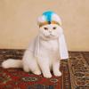 Soft Saudi Arabia Pet Hat Adjustable Cat Cosplay Hat Funny Cat Decorative Hat  Birthday Celebration