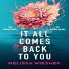 It All Comes Back To You by Melissa Wiesner Paperback Book 9781836180289