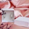 Huitan Novel U Shaped Hoop Earrings for Women Versatile Simple Stylish Accessories White/Black Cubic Zirconia Party Jewelry Hot