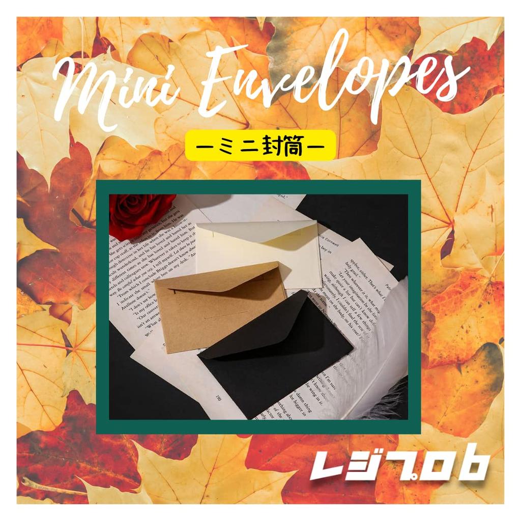 RegiPro B Black Business Card Size Envelopes for Message Card Minis, 105mm x 70mm, Pack of 300