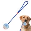 Pet Toy Ball Bite Resistant Interactive Pet Ball Dog Ball With Rope Training Ball Launchers Squeaky Tug Chew Toy For Breed &